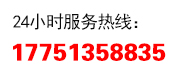 0391-8865551